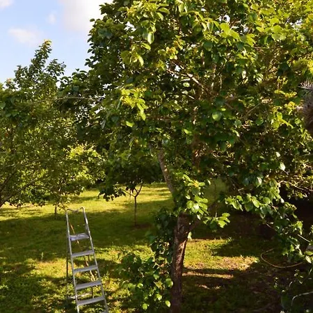 Сasa de vacaciones Preciosa Casa Con Aparcamiento A 1km De La Toja O Grove