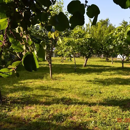 Preciosa Casa Con Aparcamiento A 1km De La Toja *